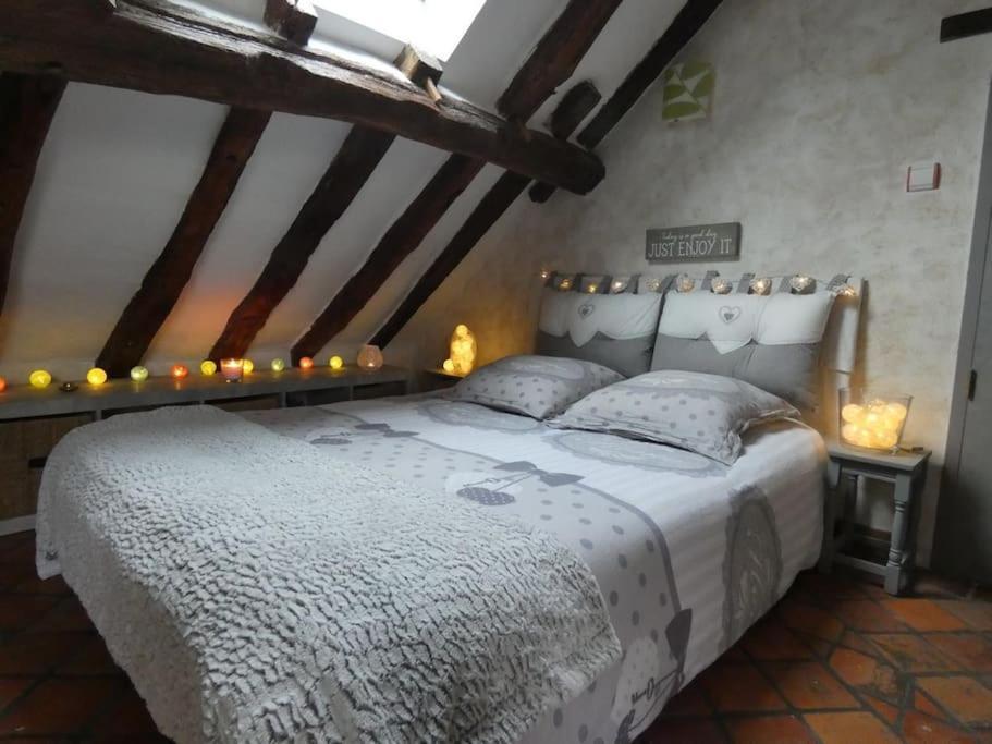 Maison De Charme Pres De Beauval Saint-Cyran-du-Jambot Zewnętrze zdjęcie